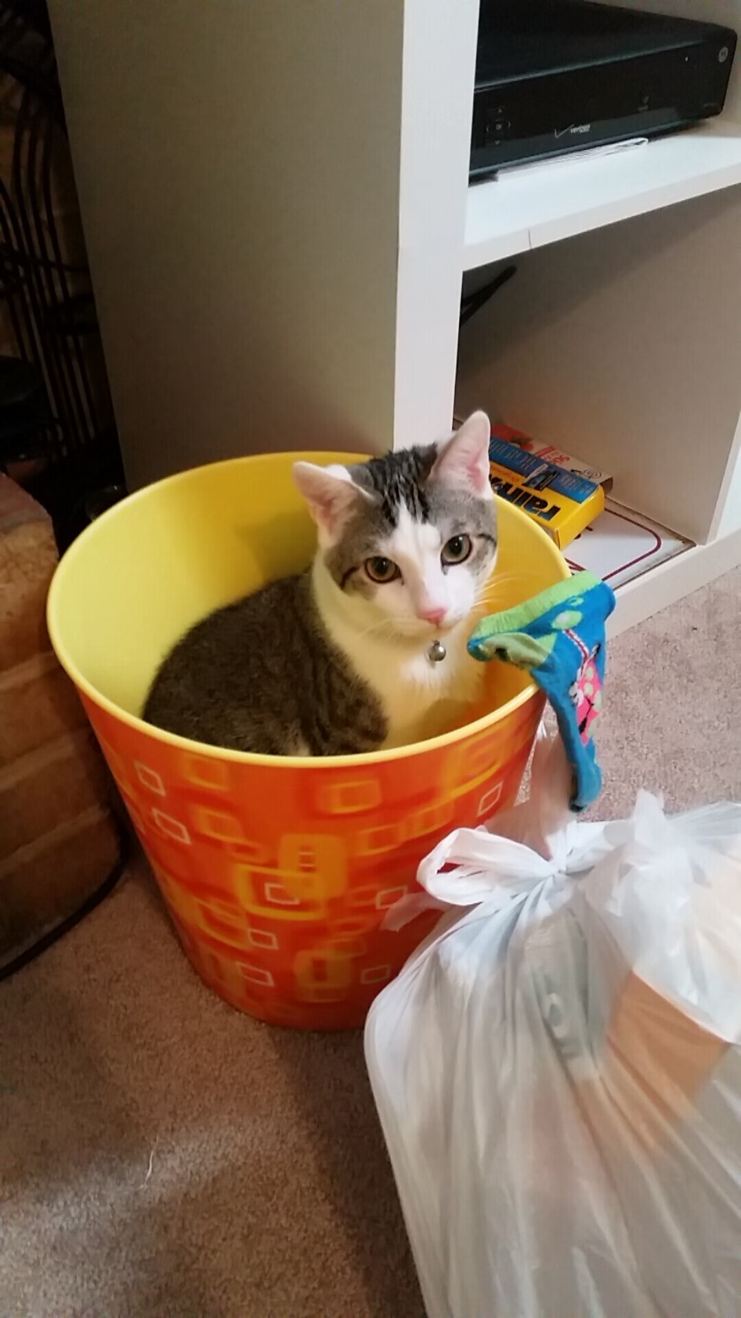 职业联赛设置周度战术回顾栏目推动知识普及