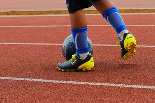 爱游戏-2024青少年体育产业融合发展大会隆重召开，青少年体育运动协会