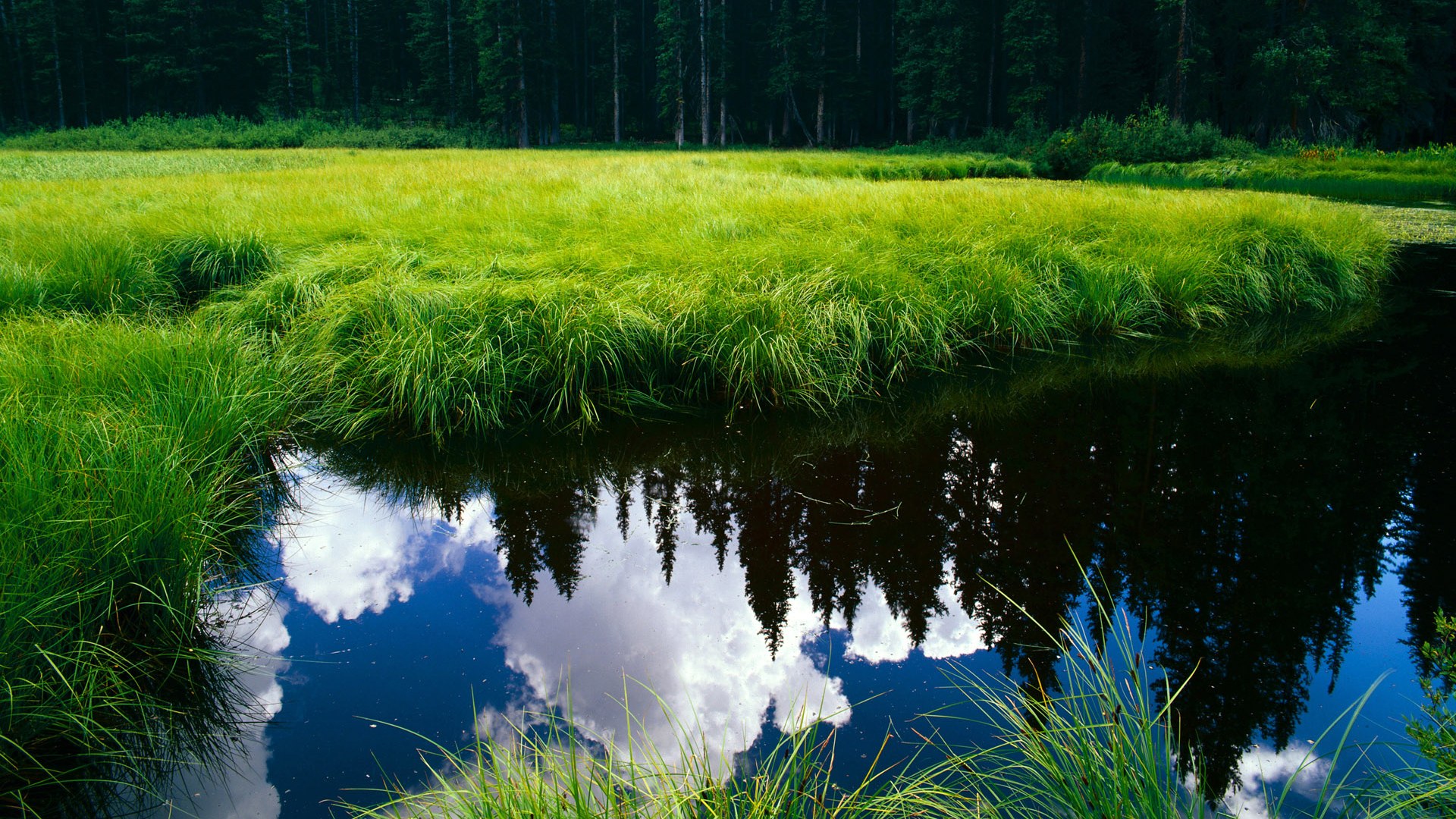 爱游戏体育app-“罗密欧·冈萨雷斯的球场表现与技术发展，成为阿根廷美洲狮队崛起的关键因素”